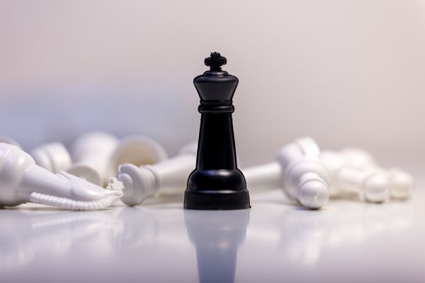 Strategic Talent Placement Leadership
